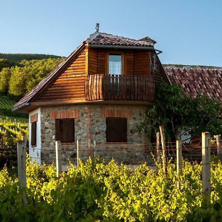 Robinson Vila Kitokret Kutjevo エクステリア 写真